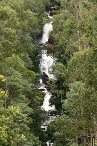 Shows Phantom Falls near Marysville in Victoria. Shows the falls cascading down the mountain, over rocks surrounded by forest.