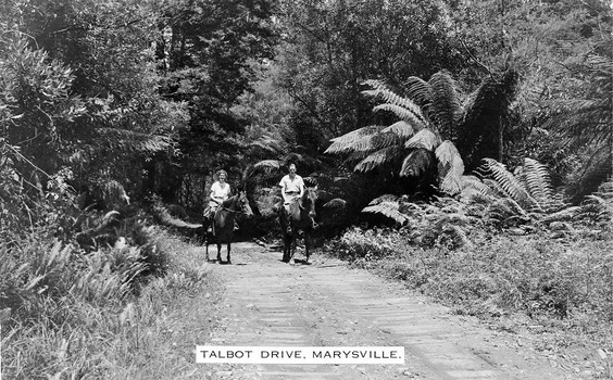 Shows two horse riders riding along Lady Talbot Drive in Marysville in Victoria. The road is a corduroy road and leads through a forest of large trees and tree ferns. The title of the photograph is printed along the lower edge of the photograph.