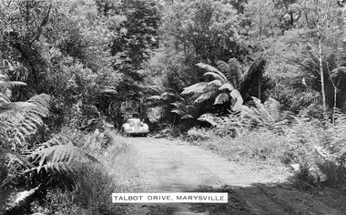 Shows an early model car traveling along Lady Talbot Drive in Marysville in Victoria. The road leads through a forest of trees and tree ferns. The title of the photograph is printed along the lower edge of the photograph.