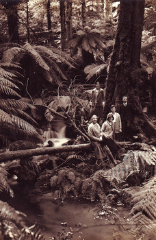 Shows a group of five people standing next to a large tree at the base of a waterfall. There are also a number of tree ferns.