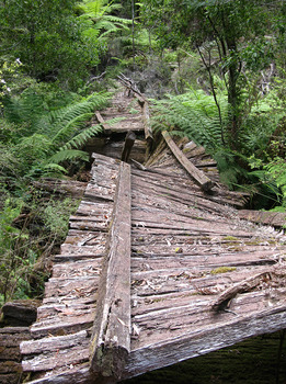 Shows the timber tramway bridge that is along the Michaeldene Walking Track near Marysville in Victoria. 