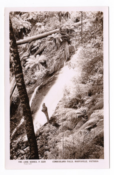 Shows the Cumberland Falls which are in Cambarville. Shows the falls cascading down the mounain side. In the foreground is a tree and in the background a fallen log can be seen lying across the falls. On the reverse of the postcard is a space to write a message and and address and to place a postage stamp. The postcard is unused.