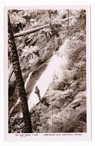 Shows the Cumberland Falls which are in Cambarville. Shows the falls cascading down the mounain side. In the foreground is a tree and in the background a fallen log can be seen lying across the falls. On the reverse of the postcard is a space to write a message and and address and to place a postage stamp. The postcard is unused.