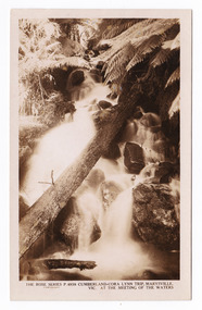 Shows the Cora-Lynn waterfalls at the Meeting of the Waters near Cumberland Creek. Shows the waterfall cascading down the mountain. In the foreground there is a fallen log lying across the falls. In the background are some tree ferns. On the reverse of the postcard is space to write a message and an address and place a postage stamp. The postcard is unused.