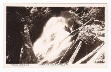 Shows the Cumberland Falls near Cambarville in Victoria. Shows the falls cascading down the mountain surrounded by forest. There are several fallen logs across and next to the falls. On the reverse of the postcard is a space to write a message and an address and to place a postage stamp. The postcard is unused.