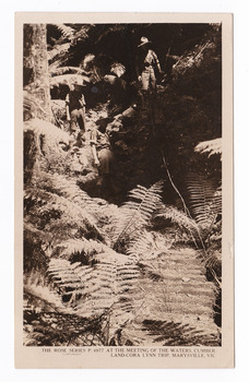 Shows three men, all wearing shorts, standing looking down into the forest. They are surrounded by tree ferns. On the reverse of the postcard is a hand-written message in black ink.