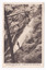 Shows the Cumberland Falls which are in Cambarville. Shows the falls cascading down the mounain side. In the foreground is a tree and in the background a fallen log can be seen lying across the falls. On the reverse of the postcard is a space to write a message and and address and to place a postage stamp. The postcard is unused.