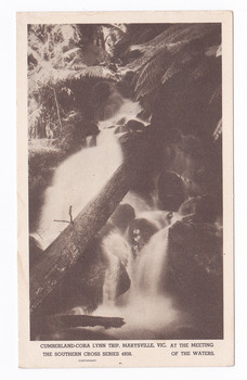 Shows the Cora-Lynn waterfalls at the Meeting of the Waters near Cumberland Creek. Shows the waterfall cascading down the mountain. In the foreground there is a fallen log lying across the falls. In the background are some tree ferns. On the reverse of the postcard is space to write a message and an address and place a postage stamp. The postcard is unused.