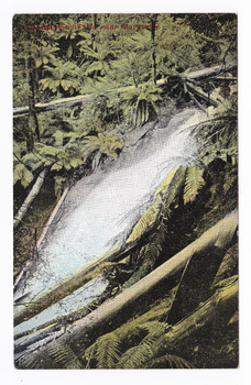 Shows the Cumberland Falls which are in Cambarville. Shows the falls cascading down the mounain side. In the foreground is a tree and in the background a fallen log can be seen lying across the falls. On the reverse of the postcard is a space to write a message and and address and to place a postage stamp. The postcard is unused.