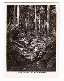 Photograph (item) - Black and white photograph, Rose Stereograph Company, Track to Cora Lynn Falls, Marysville, 1913-1967
