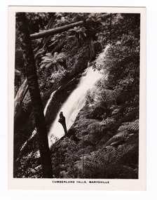 Shows the Cumberland Falls which are near Marysville in Victoria. Shows the falls cascading down the mounain side. In the foreground is a tree and in the background a fallen log can be seen lying across the falls. The title of the photograph is along the lower edge of the photograph.