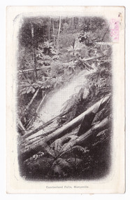 Shows the Cumberland Falls near Marysville in Victoria. Shows the falls cascading down the mountain surrounded by a forest of trees and tree ferns. In the foreground are a number of falled logs. The title of the postcard is along the lower edge. There is an orange postage stamp affixed to the front of the postcard and on the reverse there is a hand-written message and an address.