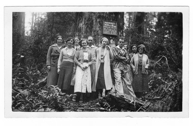 Shows a group of 10 people standing at the base of The Big Tree near Marysville in Victoria. Affixed to the tree is a sign which details the dimensions and other facts regarding the Big Tree.