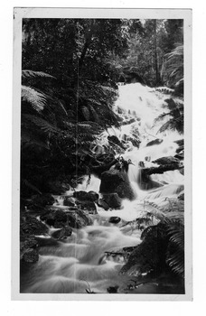 Shows the Cora Lynn Falls near Cambarville in Victoria. Shows the falls cascading down the mountain surrounded by forest. Lying across the falls are a number of fallen logs.