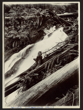 Shows the Cumberland Falls which are near Marysville in Victoria. Shows the falls cascading down the mounain side. In the foreground is a tree and in the background a fallen log can be seen lying across the falls.