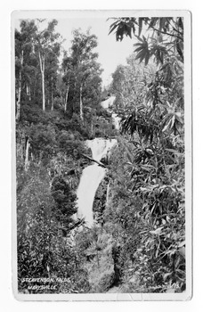 Shows Steavenson Falls in Marysville in Victoria. Shows the falls cascading down the mountain surrounded by a forest of trees and tree ferns. The title of the photograph is handwritten in white ink on the lower edge. On the reverse of the postcard is a handwritten message and a stamp from the Mary-Lyn Guest House.