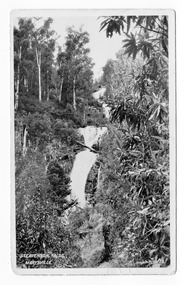 Shows Steavenson Falls in Marysville in Victoria. Shows the falls cascading down the mountain surrounded by a forest of trees and tree ferns. The title of the photograph is handwritten in white ink on the lower edge. On the reverse of the postcard is a handwritten message and a stamp from the Mary-Lyn Guest House.