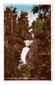 Shows Steavenson Falls in Marysville in Victoria. Shows the falls cascading down the mountain surrounded by a forest of trees and tree ferns. The title of the photograph is handwritten in white ink on the lower edge. On the reverse is a space to write a message and to place a postage stamp. The postcard is unused.