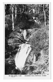 Shows Steavenson Falls, Marysville in Victoria. Shows the falls cascading down the mountain surrounded by a forest of trees and tree ferns. On the reverse of the postcard is a space to write a message and an address and to place a postage stamp. The postcard is unused.