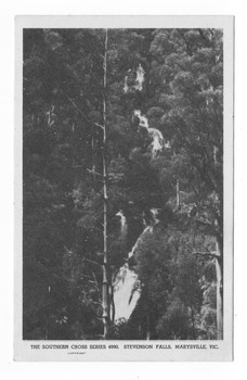 Shows Steavenson Falls in Marysville in Victoria. Shows the falls cascading down the mountain surrounded by a forest. On the reverse of the postcard is a space to write a message and an address and to place a postage stamp. The postcard is unused.