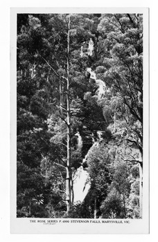 Shows Steavenson Falls in Marysville in Victoria. Shows the falls cascading down the mountain surrounded by a forest. On the reverse of the postcard is a space to write a message and an address and to place a postage stamp. The postcard is unused.