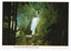 Shows Steavenson Falls in Marysville in Victoria, illuminated at night. Shows the falls cascading down the mountain surrounded by forest. On the reverse of the postcard is a space to write a message and an address and to place a postage stamp. The postcard is unused.