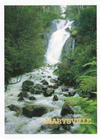 Shows Steavenson Falls in Marysville, Victoria. Shows the falls cascading down the mountain into the river. The river is flowing over rocks and is surrounded by a forest of trees and tree ferns. On the reverse of the postcard is a space to write a message and an address and to place a postage stamp. The postcard is unused. However the word 'Proposal' has been written on the reverse.