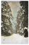 Shows a snow-covered road that leads between snow-covered trees. The title of the postcard is in red print across the top of the postcard. On the reverse is space for a message and an address and to place a postage stamp. The postcard is unused.