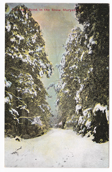 Shows a snow-covered road that leads between snow-covered trees. The title of the postcard is in red print across the top of the postcard. On the reverse is space for a message and an address and to place a postage stamp. The postcard is unused.