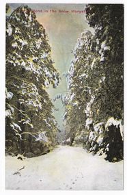 Shows a snow-covered road that leads between snow-covered trees. The title of the postcard is in red print across the top of the postcard. On the reverse is space for a message and an address and to place a postage stamp. The postcard is unused.