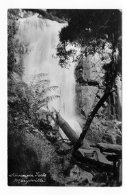 Shows Steavenson Falls in Marysville in Victoria. Shows the falls cascading down the mountain surrounded by a forest of trees and tree ferns. At the base of the falls can be seen some large rocks and a few fallen logs. The title of the postcard is written in white ink in the lower left hand corner. On the reverse of the postcard is a space to write a message and an address and to place a postage stamp. The postcard is unused.