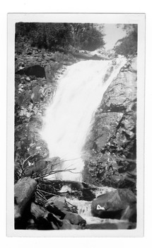 Shows Steavenson Falls in Marysville in Victoria. Shows the falls cascading down the mountain over large rocks and fallen logs. On the reverse of the photograph the location of the photograph and the date the photograph was taken is handwritten in black ink. There is also a rubber stamp inscription.