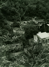 Shows a gold mine and its buildings set on the slope of a mountain. The buildings are all weatherboard. In the background can be seen the mines gold sluice.