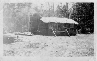 Shows George Locke's log cabin in the Cumberland Valley near Marysville in Victoria. The hut is situated in a clearing that is surrounded by forest.