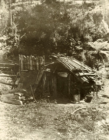 Shows a wooden hut in a clearing surrounded by the forest. In front of the hut can be seen two buckets.