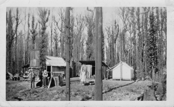 Shows a man and two women standing outside their respective huts at the Golden Bower Mine camp in the Cumberland Valley in Victoria. The huts are constructed of timber and corregated iron sheeting. There is also a large white tent which is being used as a dwelling. In the background outside one of the huts can be seen a table with several bowls sitting on it. The camp is situated in a clearing that is surrounded by forest.