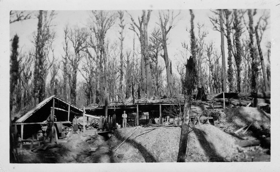 Shows a woman and a man standing outside the buildings of the Golden Bower Mine in the Cumberland Valley in Victoria. The buildings are all constructed with timber poles and timber and corregated iron roofs. In one building at the left of the photograph can be seen the mine shaft head. 