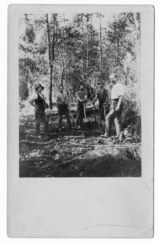 Shows five men in the forest at the Golden Bower Mine in the Cumberland Valley in Victoria. Three of the men are holding shovels and one is holding an axe. The men appear to have been clearing the forest of trees.