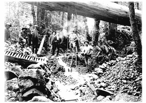 Shows a group of five men standing with various shovels next to a sluice box which is sitting on top of some rocks at the Wilks Creek wolfram mine near Marysville in Victoria. Sitting at the foot of one of the men is a gold mining pan. The men are standing in a forest.