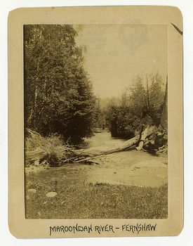 Shows the Watts River flowing through the forest. Lying across the river is a large fallen tree. The title of the photograph is in black ink along the lower edge of the photograph. On the reverse of the photograph is a stamp from the Armstrong Collection at 42 Station Street in Sandringham in Victoria.
