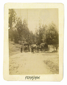 Shows two horse-drawn coaches, each facing opposite directions, waiting on a dirt road that leads through a forest. At the back of one coach is a group of four men whilst one man stands at the head of one of the horses pulling the other coach. The title of the photograph is along the lower edge. On the reverse of the photograph is a stamp from the Armstrong Collection at 42 Station Street in Sandringham in Victoria.
