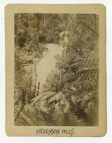 Shows Steavenson Falls in Marysville in Victoria. Shows the falls cascading down the mountain surrounded by a forest of large trees and tree ferns. The title of the photograph is along the lower edge in black ink. On the reverse of the photograph is a stamp from the Armstrong Collection at 42 Station Street in Sandringham in Victoria.