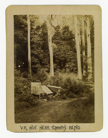 Shows a small timber hut by the side of a dirt road which leads through a forest of large trees. The title of the photograph is along the lower edge in black ink. On the reverse of the photograph is a stamp from the Armstrong Collection at 42 Station Street in Sandringham in Victoria.