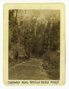 Shows a corduroy road running through a forest. The title of the photograph is along the lower edge in black ink. On the reverse of the photograph is a stamp from the Armstrong Collection at 42 Station Street in Sandringham in Victoria.