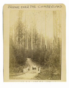 Shows a fully laiden dray which has just crossed a small wooden white painted bridge onto a track that leads into the forest. At the rear of the dray stands a man. There are two men sitting on the bottom edge railing of the bridge. The title of the photograph is along the top edge in black ink. On the reverse of the photograph is a stamp from the Armstrong Collection at 42 Station Street in Sandringham in Victoria.
