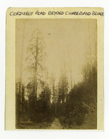 Shows a corduroy road running through a forest. The title of the photograph is along the upper edge in black ink. On the reverse of the photograph is a stamp from the Armstrong Collection at 42 Station Street in Sandringham in Victoria.