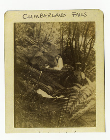 Shows Cumberland Falls near Marysville in Victoria. Shows the falls flowing down the hillside. In the background and foreground are several fallen logs. The falls are surrounded by a forest of trees and tree ferns. The title of the photograph is along the upper edge in black ink. On the reverse of the photograph is a stamp from the Armstrong Collection at 42 Station Street in Sandringham in Victoria.