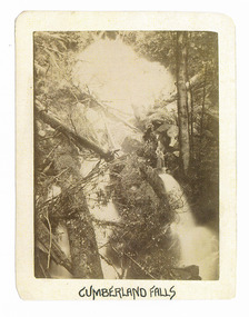 Shows Cumberland Falls near Marysville in Victoria. Shows the falls flowing down the hillside. In the background and foreground are several fallen logs. The falls are surrounded by a forest. The title of the photograph is along the lower edge in black ink. On the reverse of the photograph is a stamp from the Armstrong Collection at 42 Station Street in Sandringham in Victoria.