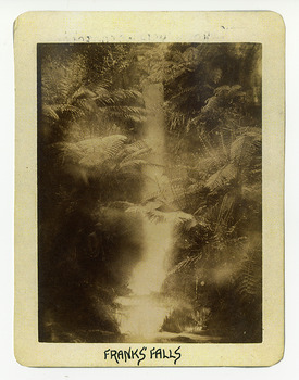 Shows the falls cascading down the mountain into a pool at the bottom. The falls are surrounded by tree ferns. The title of the photograph is along the lower edge in black ink. On the reverse of the photograph is a stamp from the Armstrong Collection at 42 Station Street in Sandringham in Victoria.