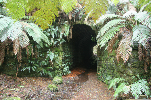 Shows the entrance to The Big Culvert. The Big Culvert is built of stone and the entrance is flanked by tree ferns.